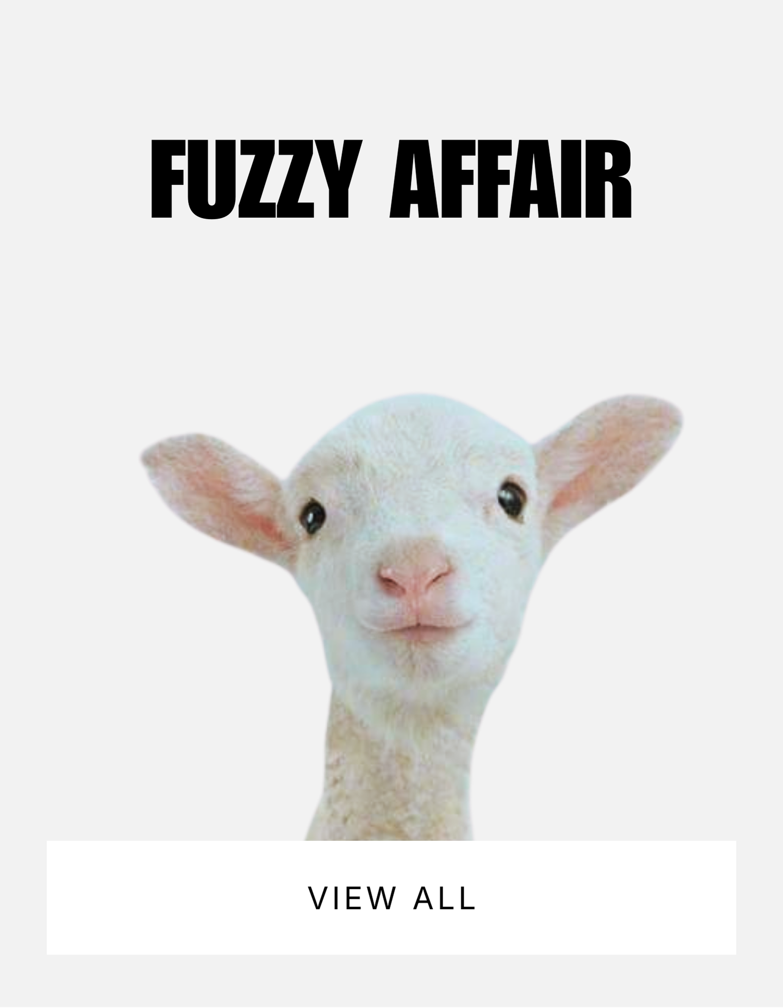 Fuzzy Affair